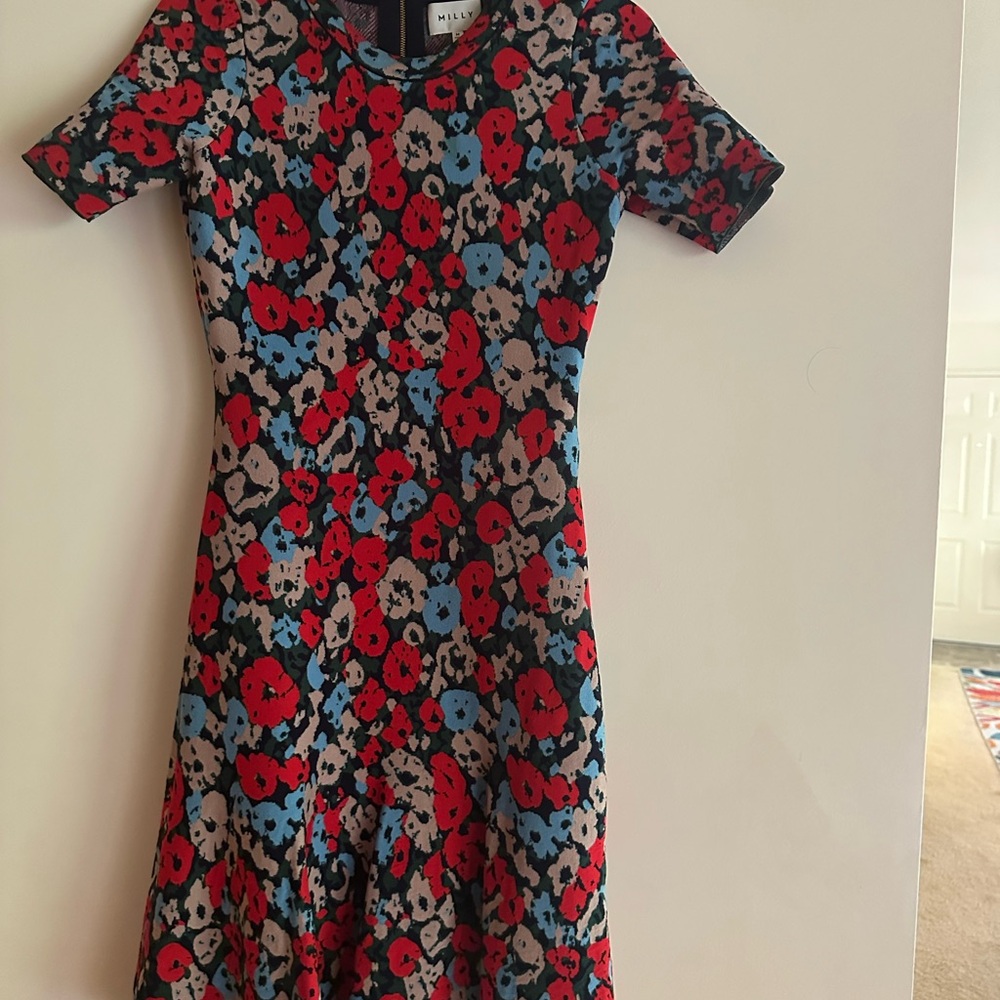 Milly Red and Blue Floral Dress